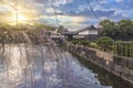 Weeping cherry and moat of Tokyo Imperial Palace at sunset.